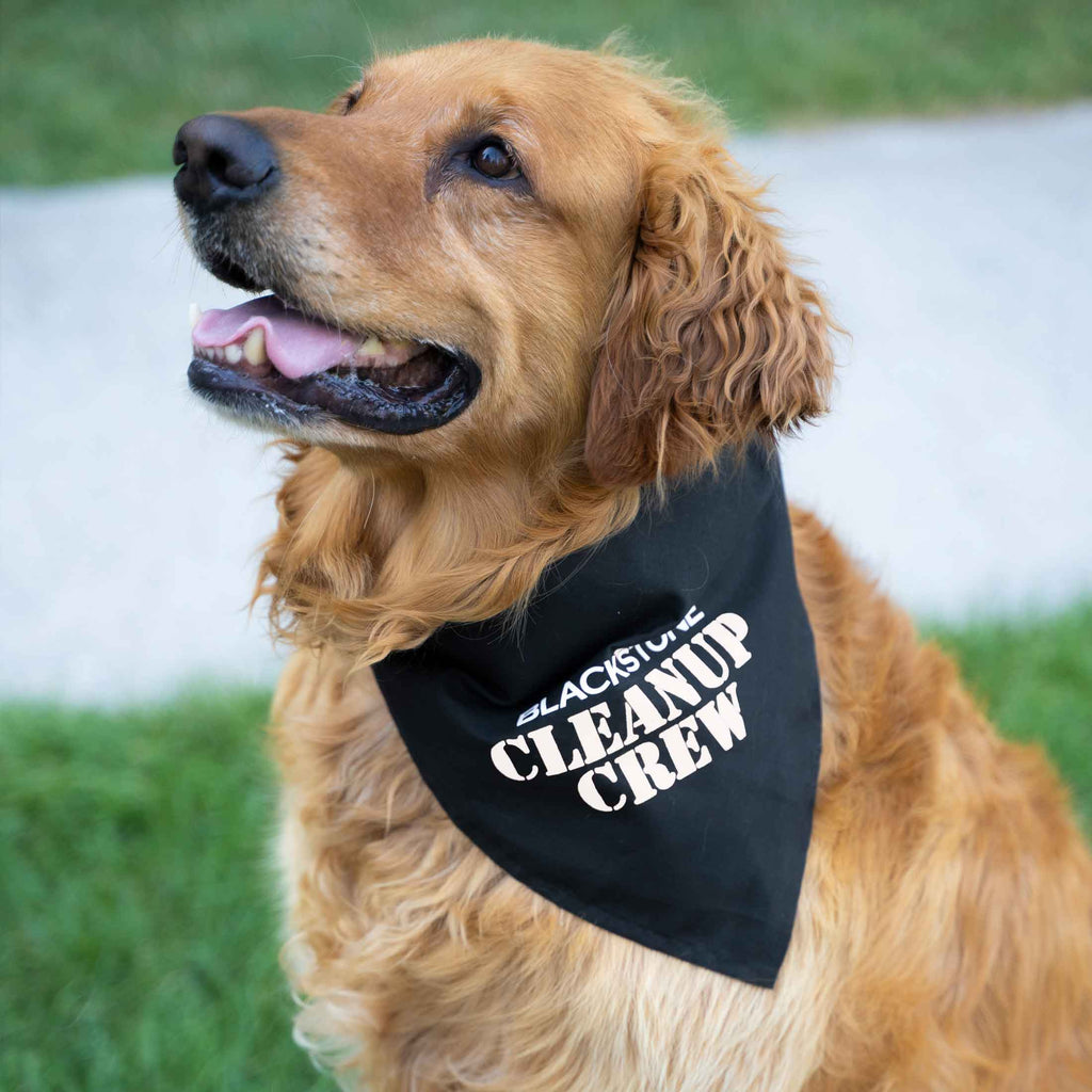 Dog Bandana