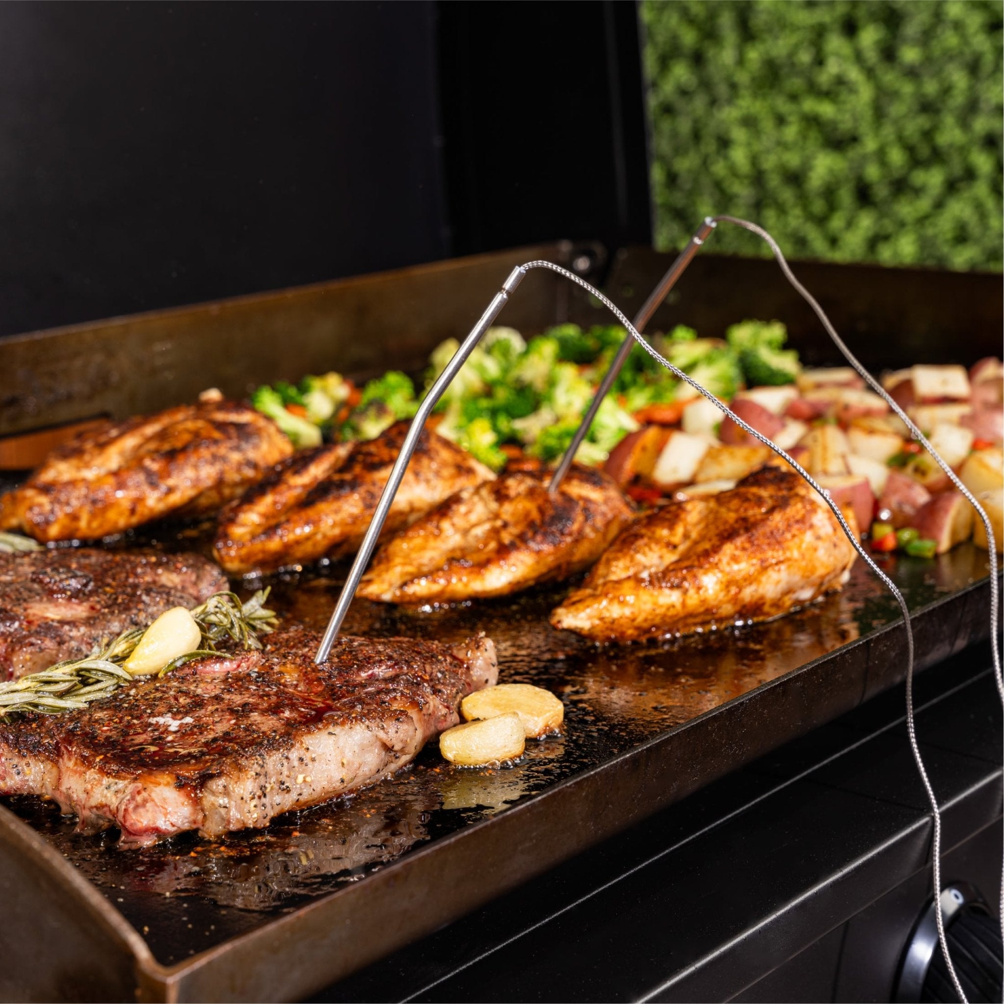 Dual Probe Digital Thermometer - Blackstone Products