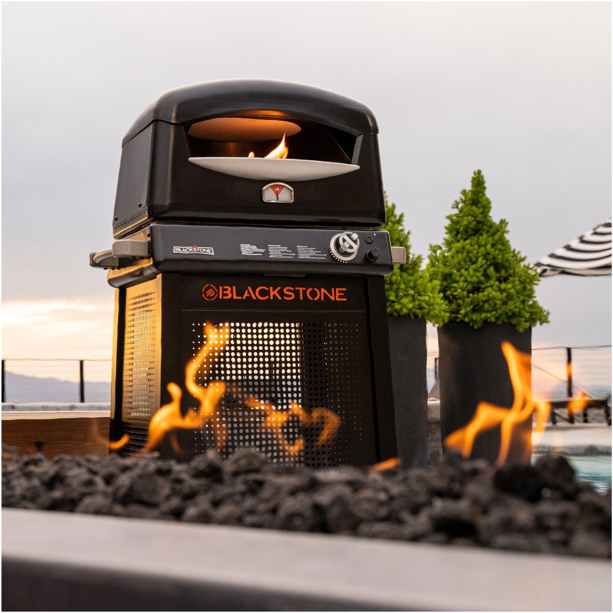 Pizza Oven with Mobile Cart - Blackstone Products