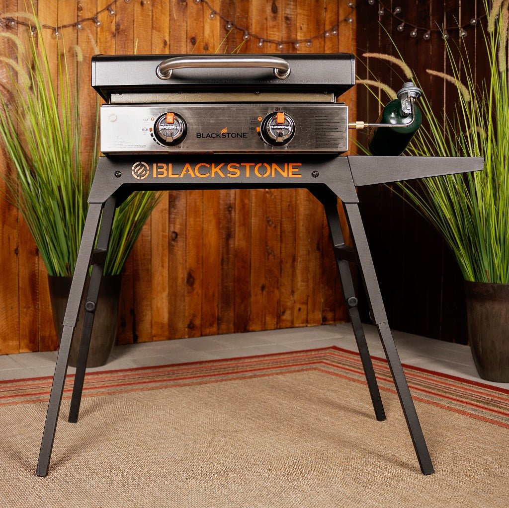 Blackstone 22 inch E Series Electric Griddle Unboxing Assembly and Overview  