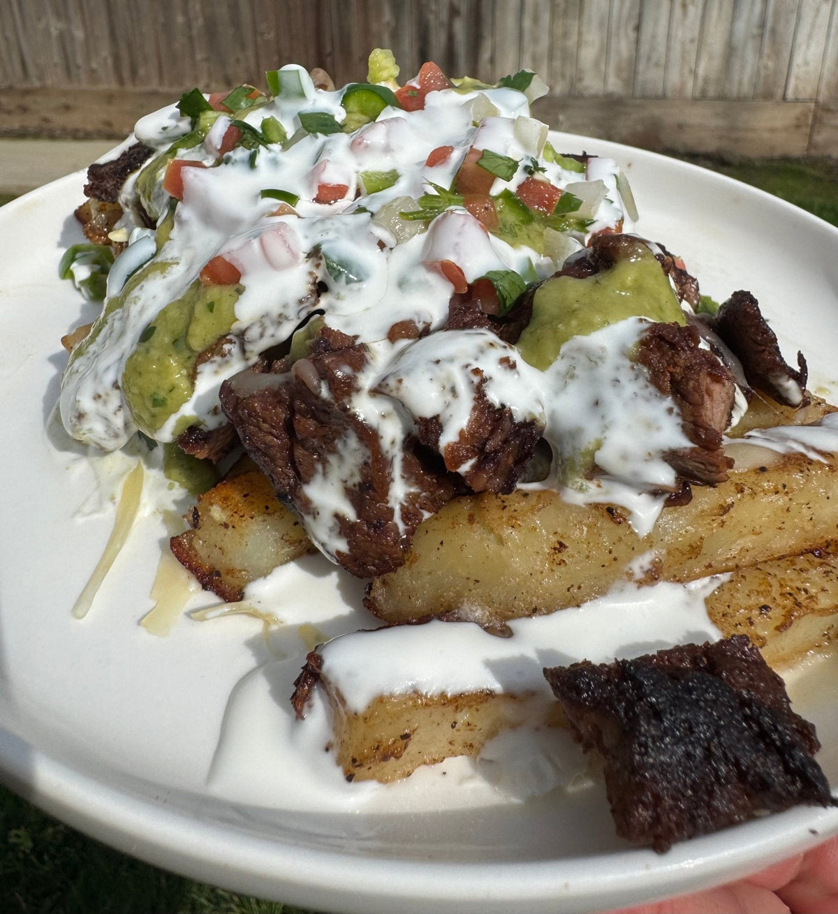Asada Fries with Avocado Salsa - Blackstone Products