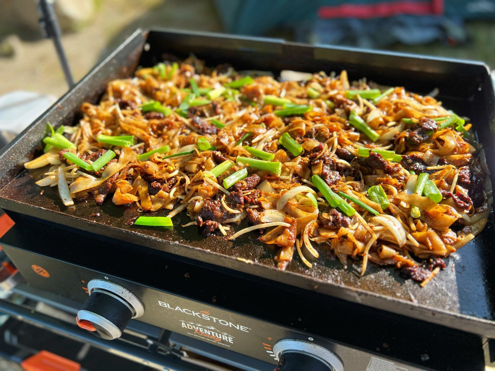 Beef Chow Fun - Blackstone Products