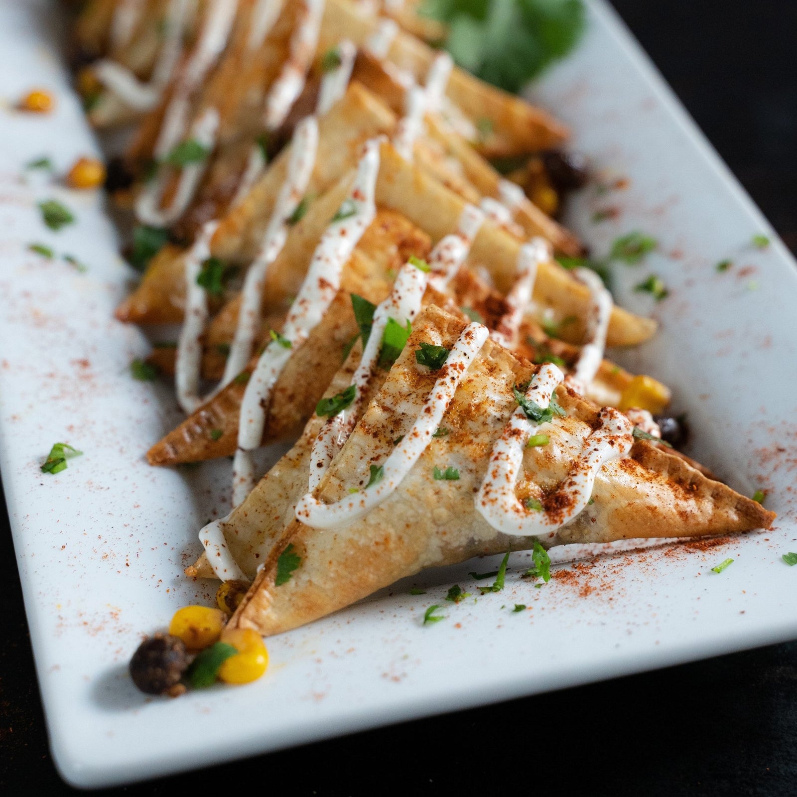 Black Bean Triangle Bites - Blackstone Products