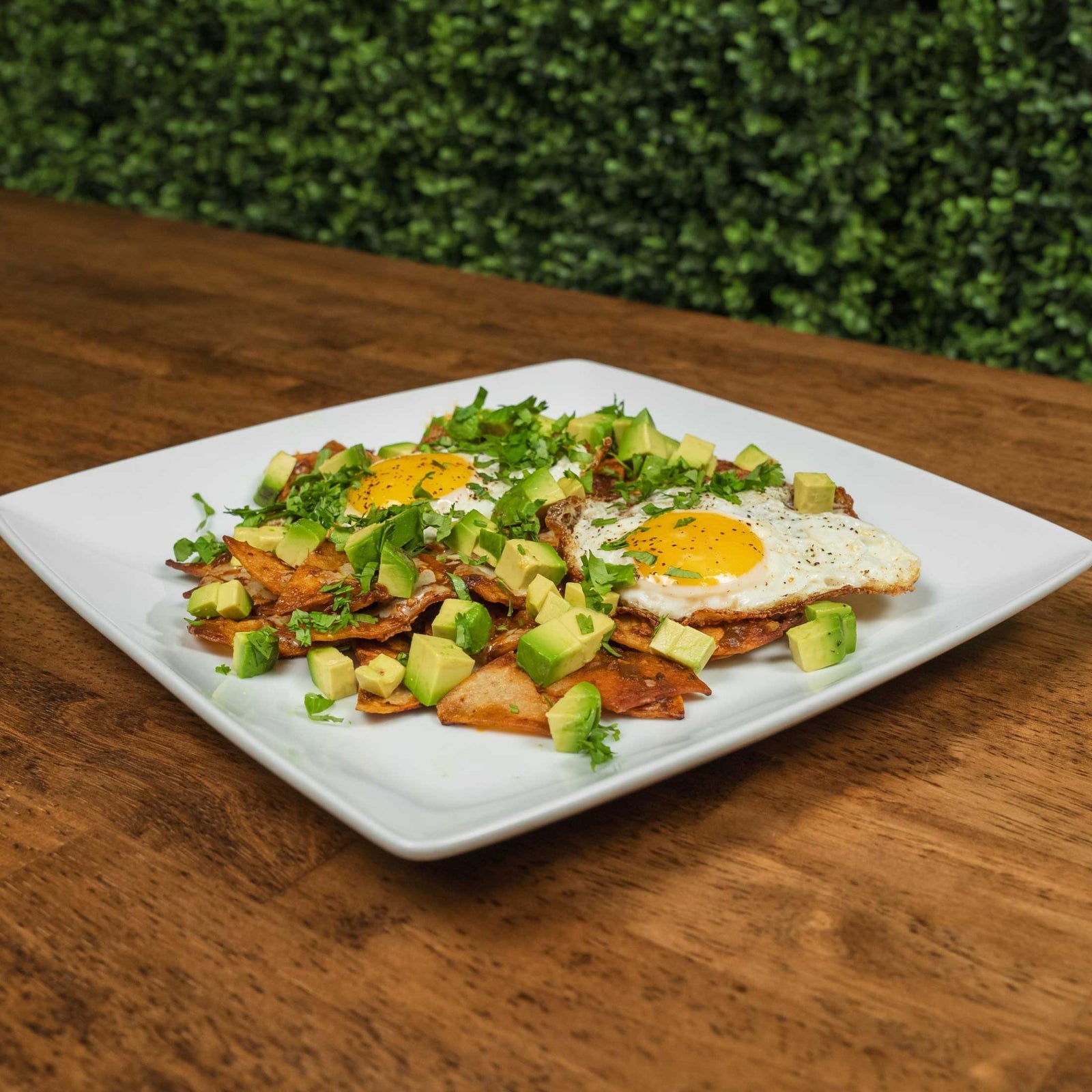 Feed 4 for $20 Chilaquiles - Blackstone Products