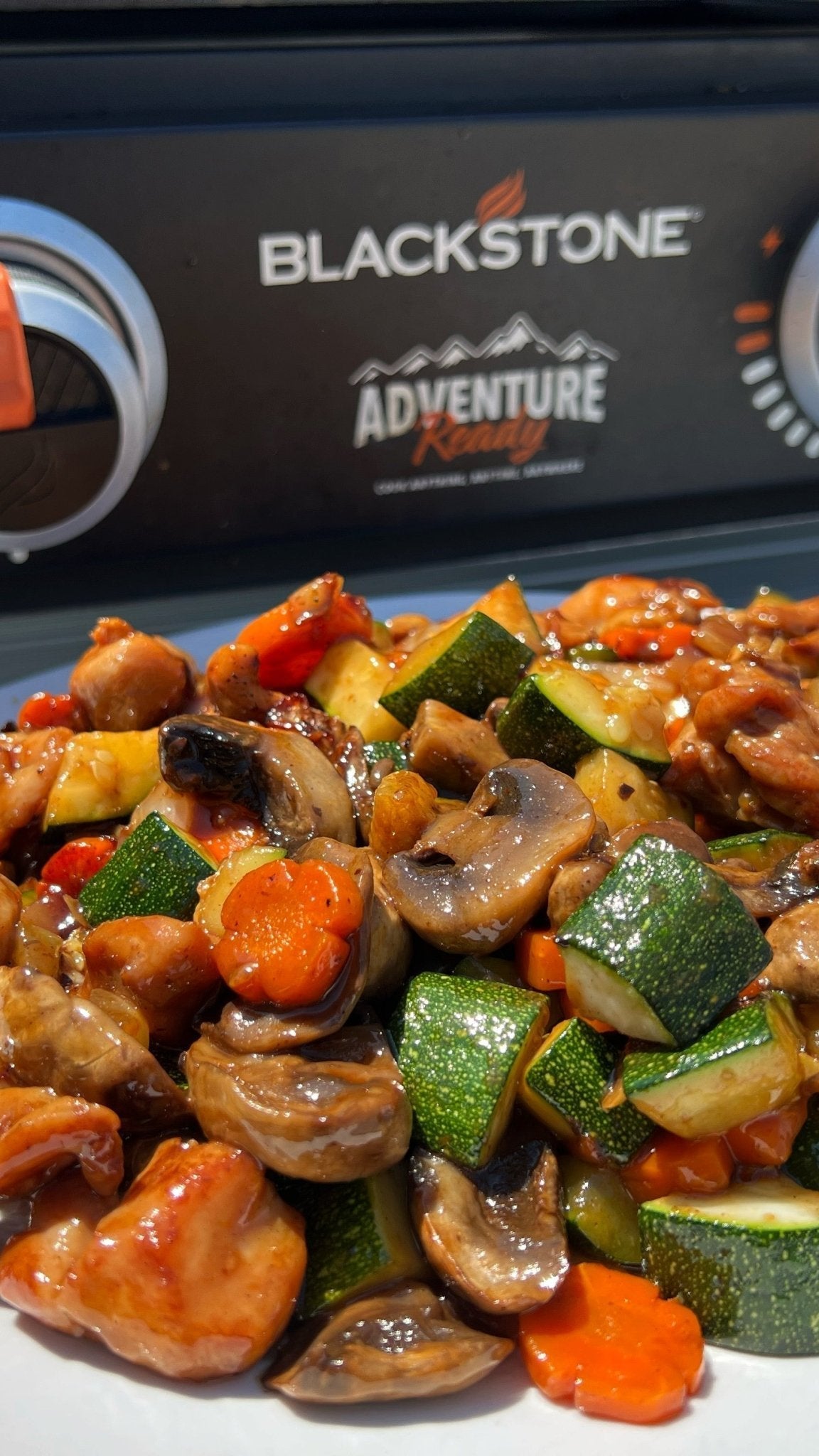 Mushroom Chicken - Blackstone Products