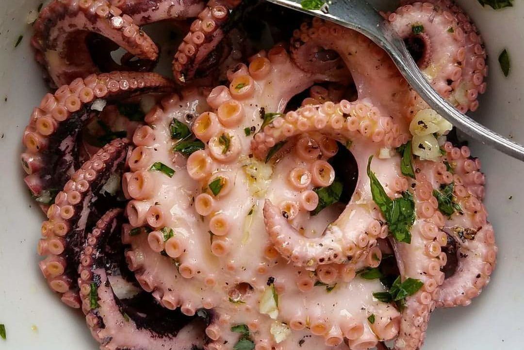 Octopus - Blackstone Products