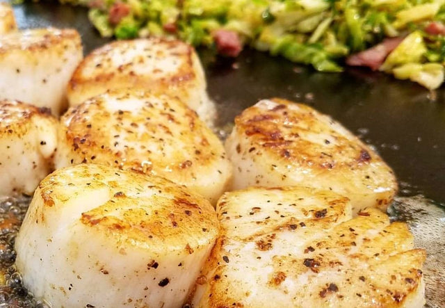 Wild Caught Jumbo Scallops with Shredded Sprouts &amp; Prosciutto - Blackstone Products