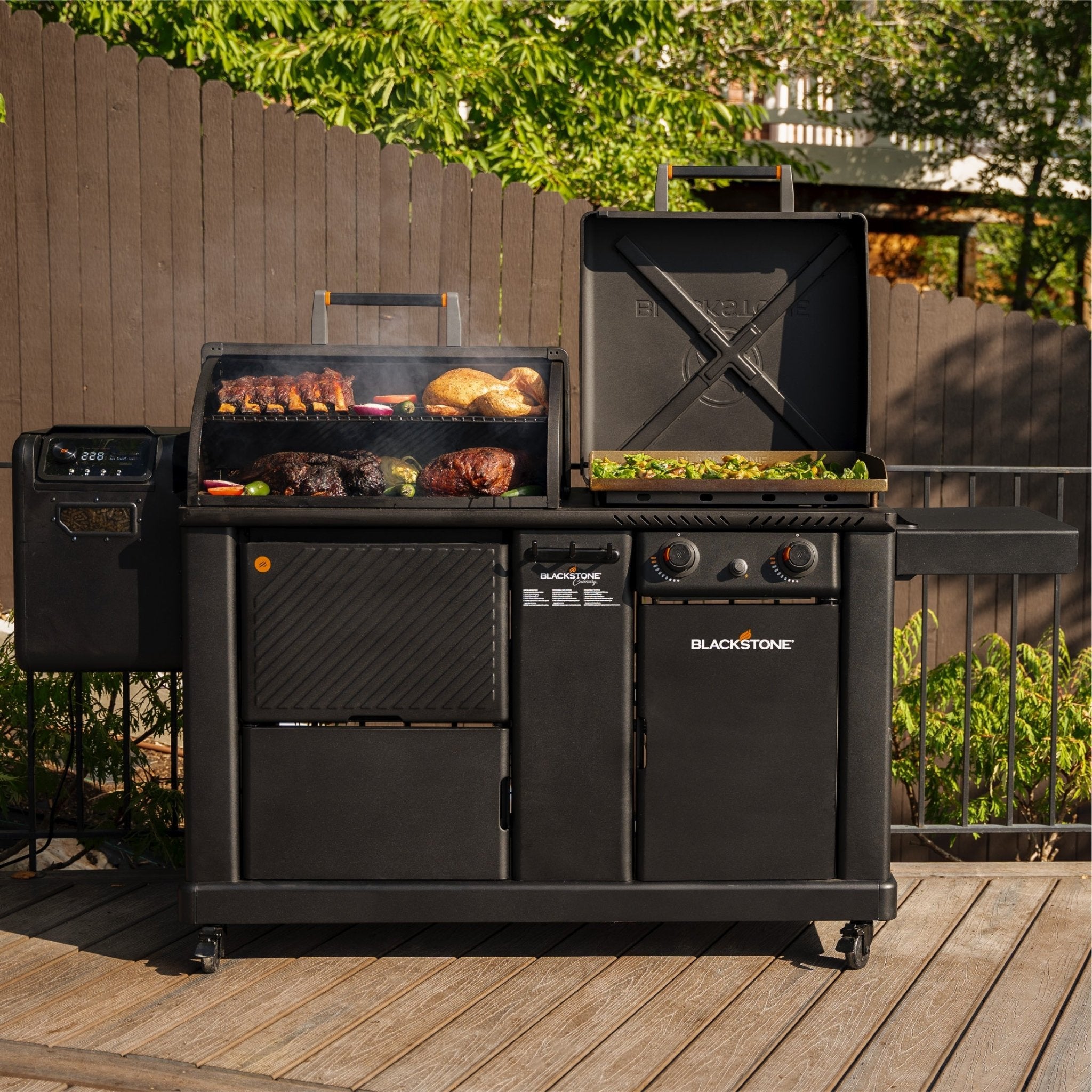 Bass Pro Louisiana Grills Event Grill With Griddle 22