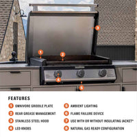 28" Drop - in Griddle with Hood (Natural Gas) - 28" Griddle with Hood | Blackstone Products