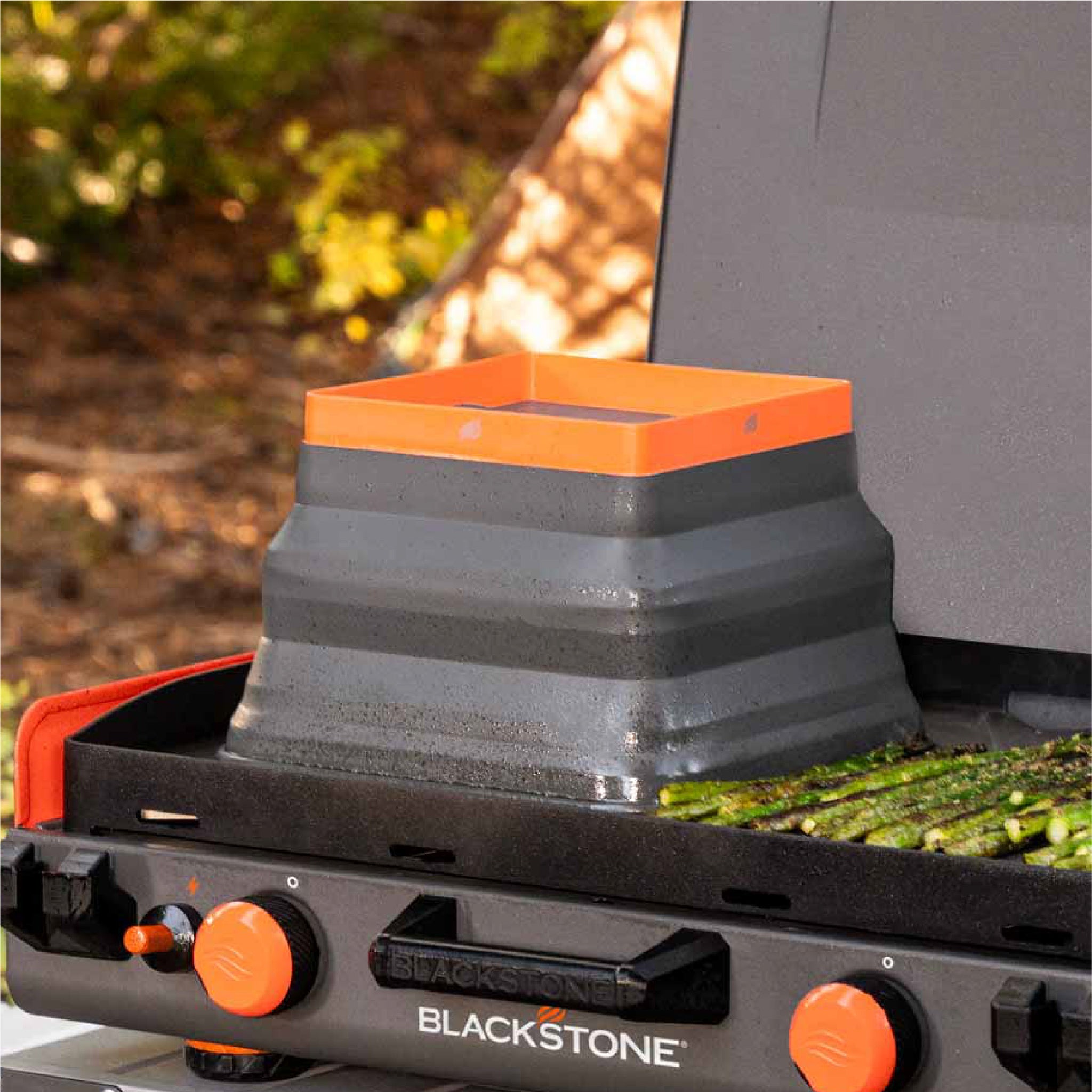 Collapsible Basting Dome