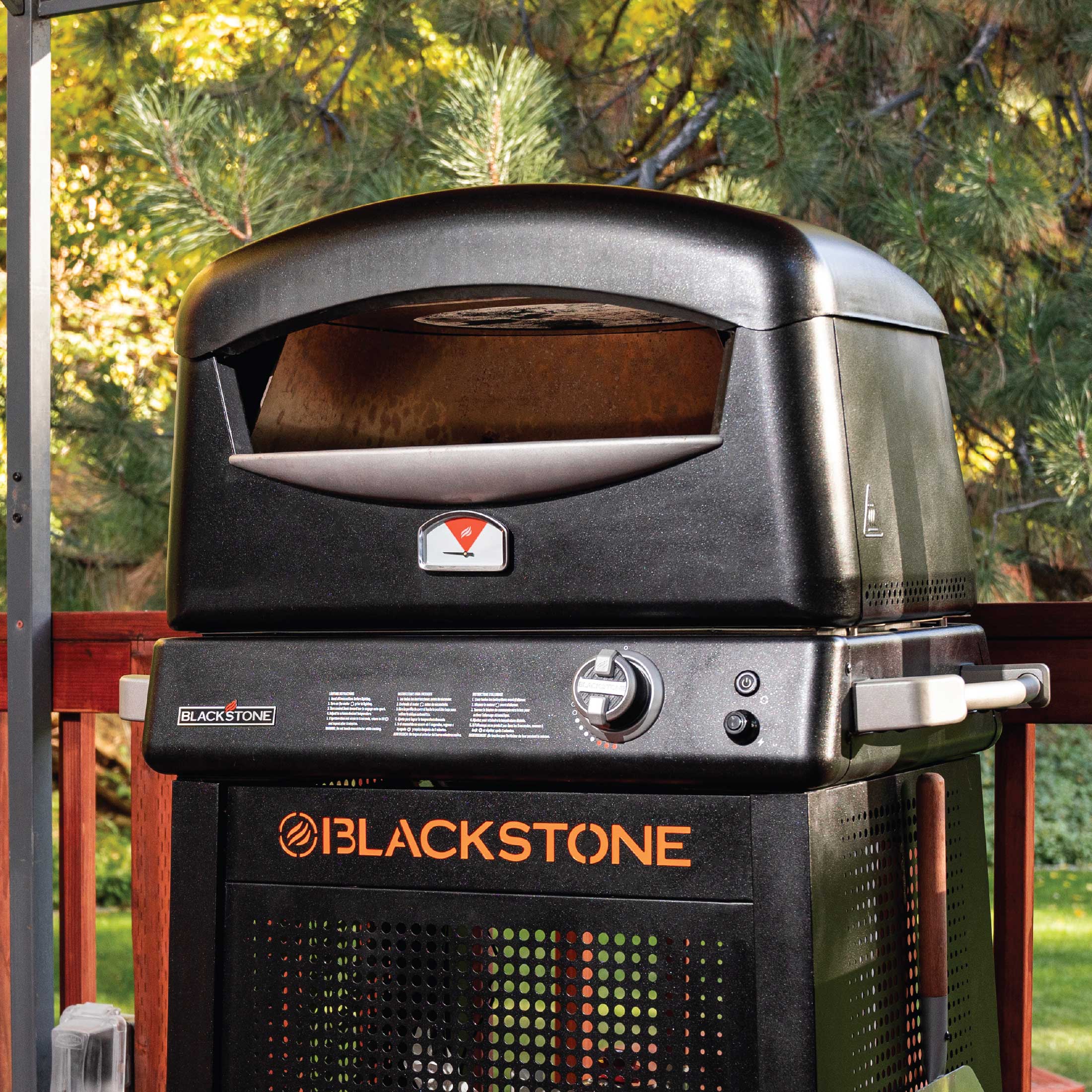 Pizza Oven with Mobile Cart