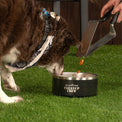 Insulated Dog Bowl - Blackstone Products