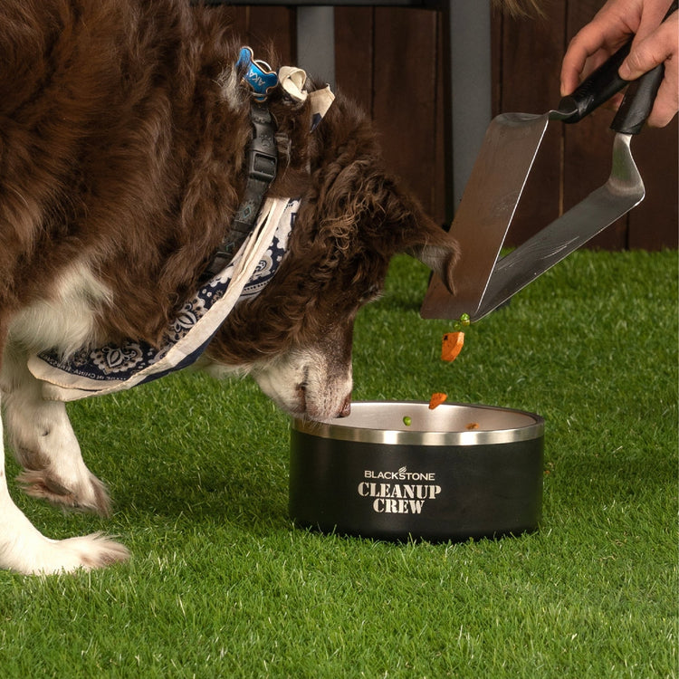 Insulated Dog Bowl - Blackstone Products